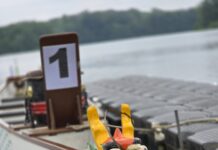 Wenn der Drache wieder erwacht Am 24.5.2026 stehen die Drachenboote am Grünen See wieder für das Rennen bereit, Bild: Alexander Heinz