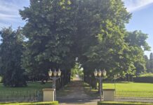 Cromford-Park wird zur Bühne für Musik, Ideen und Begegnung Rechts und Links der Allee gibt es am kommenden Wochenende viel zu sehen und zu erleben, Bild: Alexander Heinz