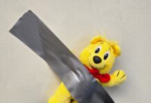 Ehrenamtler für Senioren Kunststunden gesucht Kunst liegt im Auge des Betrachters, Kreativität direkt im Gehirn dahinter, Bild: Alexander Heinz