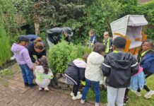 Projekt „Obsttraum“ schafft generationenübergreifendes Gartenerlebnis Jung und Alt taten sich zusammen, um Kräuter zu ernten. Foto: Stadt Ratingen