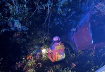 Wildschwein auf Ratinger Fahrbahn: Auto verunglückt auf Mülheimer Straße In der Nacht zum 23. Juli musste die Feuerwehr Ratingen wegen eines Verkehrsunfalls anrücken. Foto: Polizei Kreis Mettmann