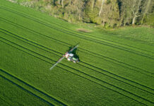 Von der Nachkriegsnot zur blühenden Oase: KGV Schützenburg wird 80 Aus Ackerland wurden Kleingärten, Bild: Nestocom