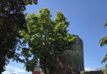 Ratinger Jonges laden zum traditionellen Sommer-Biwak am Teich ein Delegation aus der Partnerstadt Le Quesnoy mit Vertretern der Jonges vor dem Dicken Turm beim letzten Turmfest, Bild: Alexander Heinz