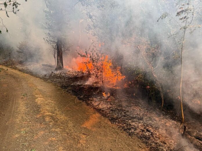 (C)Feuerwehr Ratingen Die Ratinger Feuerwehr kämpft gegen den größten Waldbrand des Landes NRW jemals. Foto: Feuerwehr Ratingen