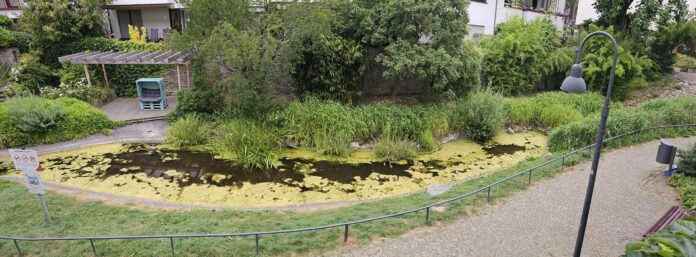 Wassergraben 1 Der Wassergraben heute ist kaum noch als solcher zu erkennen, Bild: CDU Ratingen