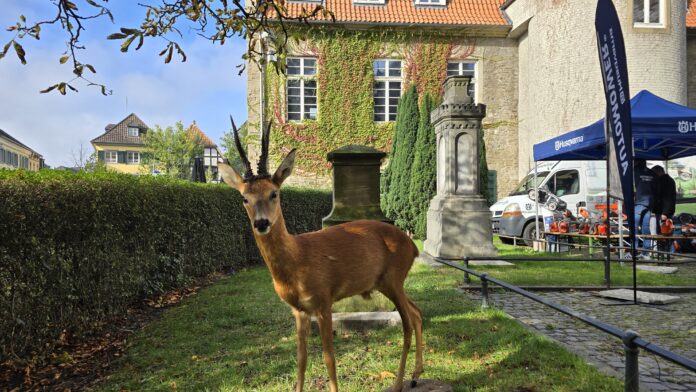 Bauernmarkt 1 Auch die rollende Waldschule ist in diesem Jahr wieder auf dem Bauernmarkt in Ratingen vertreten, Bild: Alexander Heinz