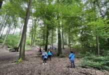 400 Schüler bei diesjährigen Ratinger Waldjugendspielen Die Vielfalt des Waldes steht bei den Waldjugendspielen im Vordergrund. Foto: Umweltbildungszentrum