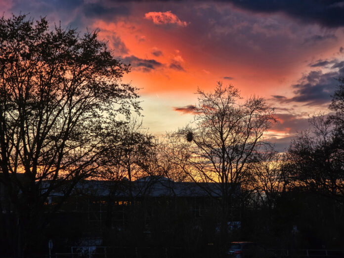 Trauer-185157 Blick in den Ratinger Himmel, Bild: Alexander Heinz