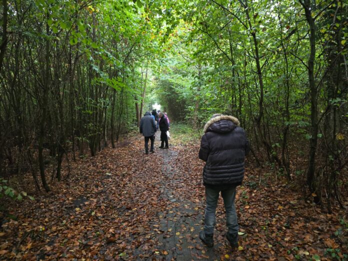 Waldspaziergang Projekte mit Anschluss werden gefördert, Bild: Alexander Heinz
