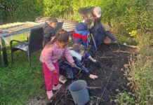 Große Kartoffelernte: Vorschulkinder gärtnern im Nachbarschaftsgarten Mit Begeisterung bei der Gartenarbeit: Die Vorschulkinder der städtischen Kita Erfurter Straße ernteten im Nachbarschaftsgarten des Mehrgenerationentreffs Tiefenbroich Kartoffeln. Foto: Stadt Ratingen
