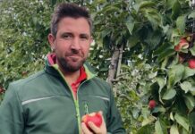 Der Sackerhof: Eine Familiengeschichte, die Früchte trägt Jan Zimmermann auf einer seiner Apfel-Plantagen. Foto: Iljana Strenger