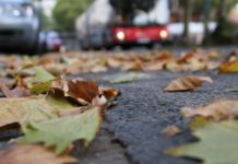 Verbrauchertipp: Laub entsorgen – So geht es richtig Die Verbraucherzentrale NRW gibt Tipps für die richtige Laub-Entsorgung. Foto: Verbraucherzentrale