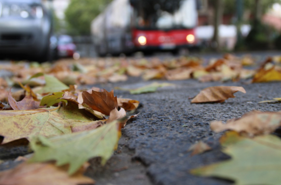 Unknown Die Verbraucherzentrale NRW gibt Tipps für die richtige Laub-Entsorgung. Foto: Verbraucherzentrale