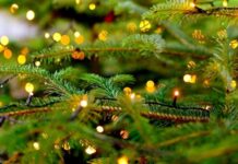 Gespendete Tannen ermöglichen ein festlich geschmücktes Ratinger Weihnachten An einem Weihnachtsbaum leuchten LED-Lampen. Foto: pixabay/symbolbild