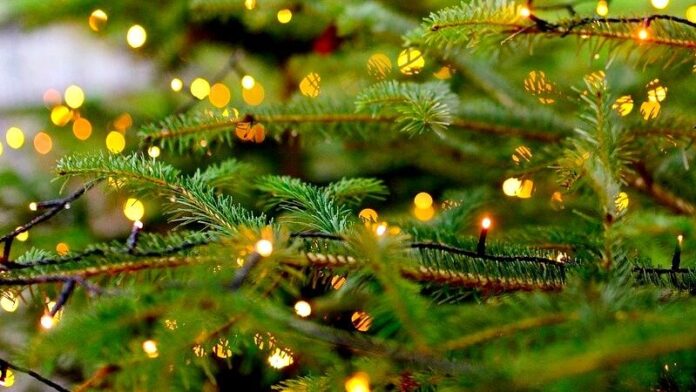 Weihnachtsbaum-Licht An einem Weihnachtsbaum leuchten LED-Lampen. Foto: pixabay/symbolbild